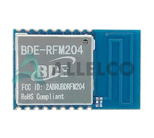 BDE-RFM204-915 Image