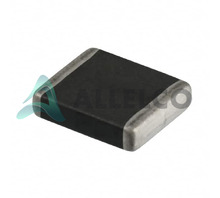 B72530E0170K062 Image