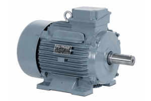 Induktionsmotor för ekorrbur: arbetsprincip, typer, fördelar och tillämpningar