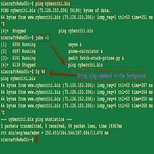 Foreground (fg) Command in Unix Systems