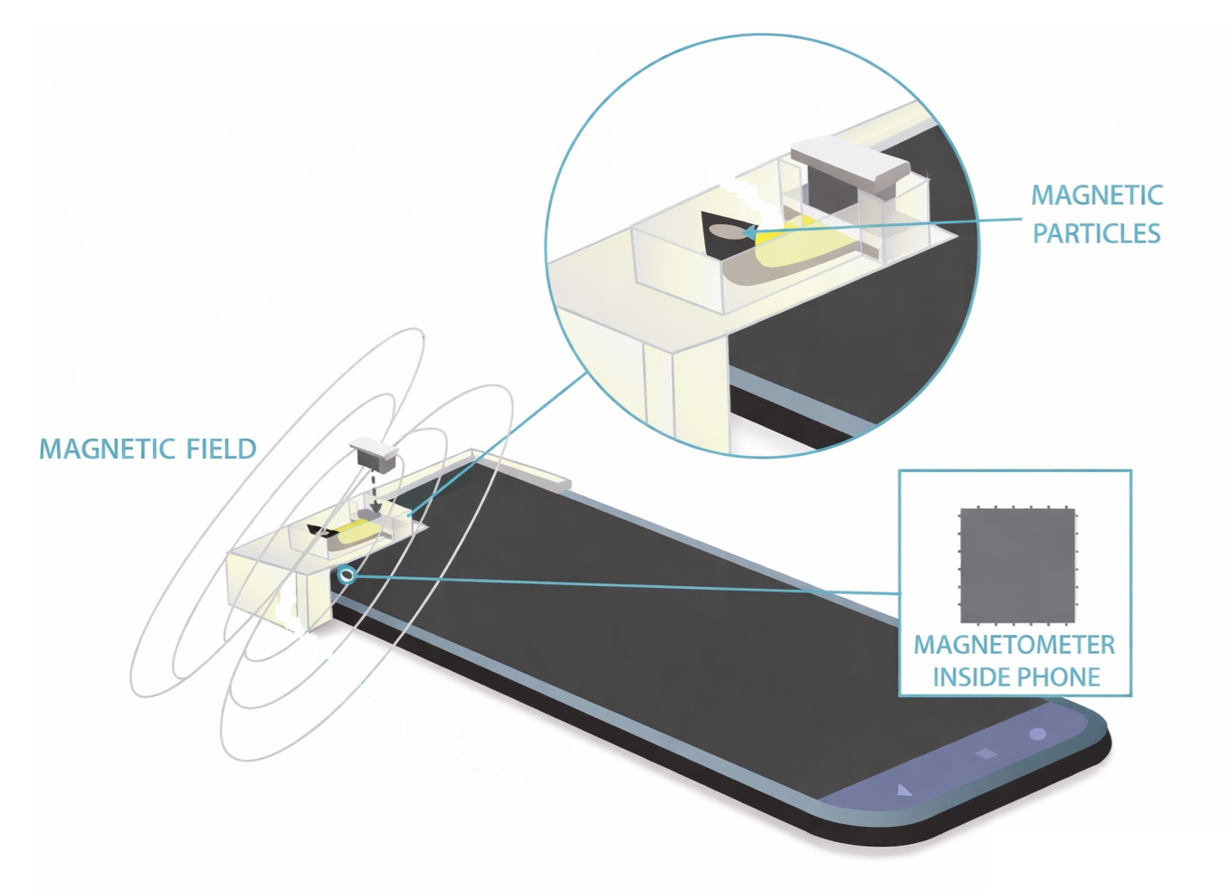 Magnetometer Inside Smartphone